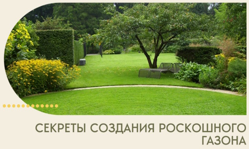 Секреты создания роскошного газона в Ноябрьске