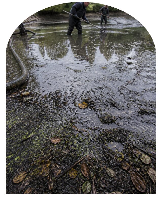 Очистка пруда в Ноябрьске от ила мусора и водорослей с вывозом