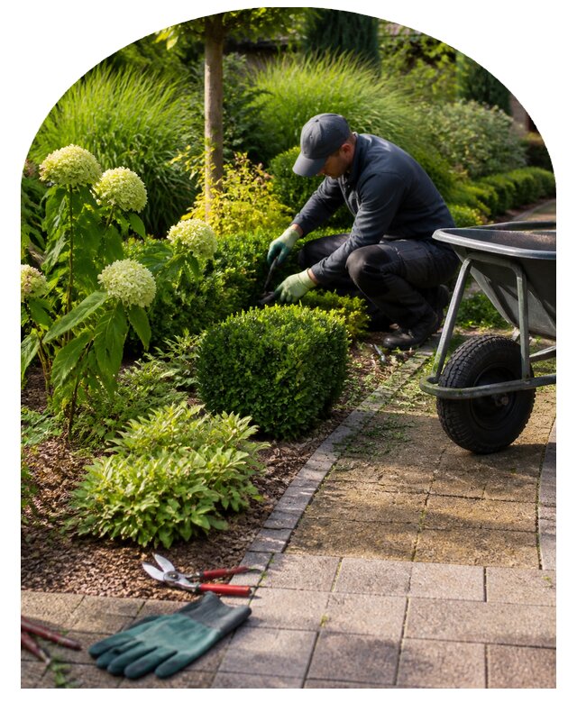Абонентское обслуживание сада и участка под ключ в Ноябрьске